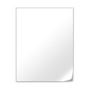 Generic File Icon